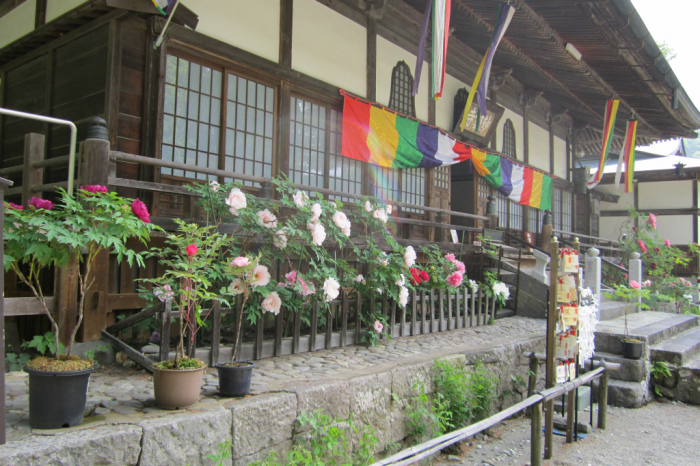 塩原温泉ぼたんまつり 画像3