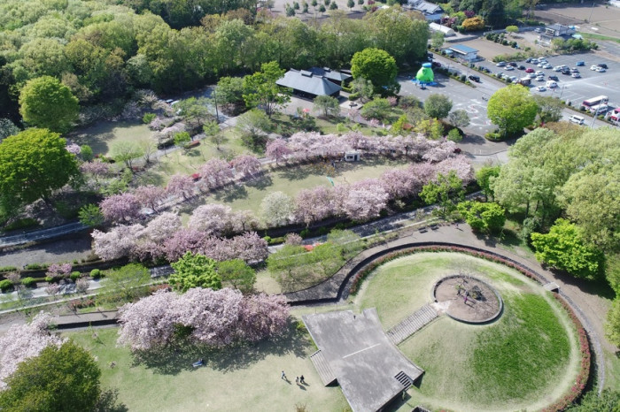 下野市制施行20周年記念事業　第47回東の飛鳥天平の花まつり 画像5